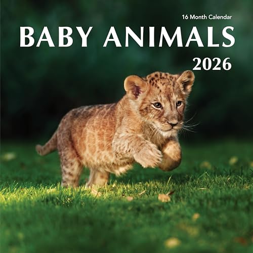 2026�N �����̐Ԃ����Ǌ|���J�����_�[ - 12�C���` �t���y�[�W �� �� �q�� �� �ʐ^ �M�t�g �q�� �j�̎q ���̎q - ����&�v�� (2026 �Ԃ���񓮕�)