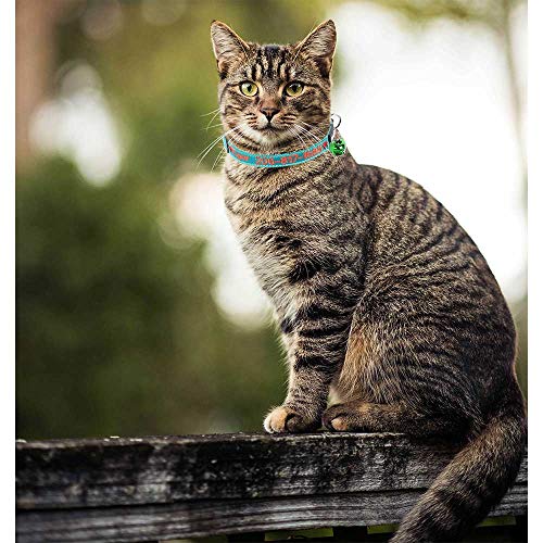 Graceful Life Custom Breakaway Cat Collar Personalized Cat-Id Collar Embroidered Pet Name Phone Safety Collars With Bell #TOP4