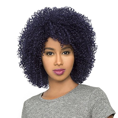 HH-AFRO JERRY (P4/27/30) - THE WIG Brazilian Human Natural Hair Blend Wig