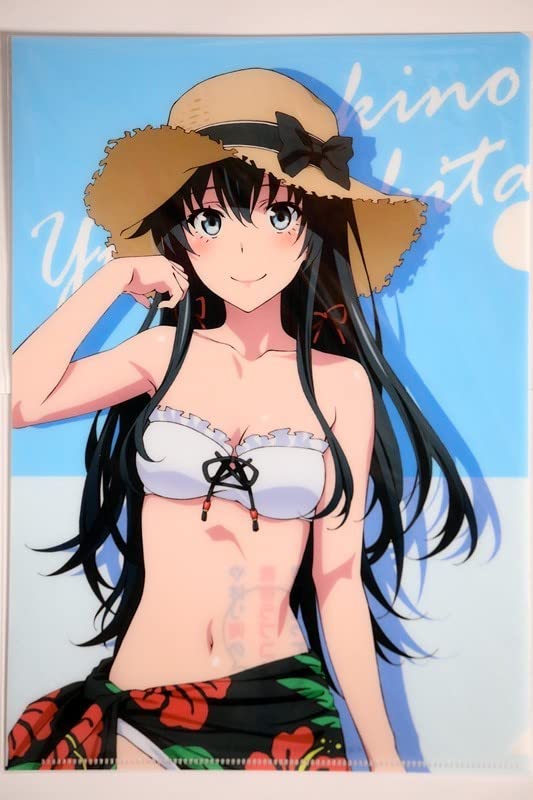 Amazon.co.jp: やはり俺の青春ラブコメはまちがっている。 クリア