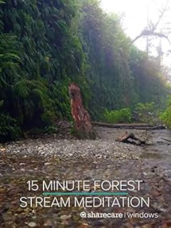 15 Minute Forest Stream Meditation