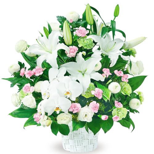 Ě݂ ԃL[sbg   @v @    ~ ފ ~V~ l\  ̃AWg yr00-524094