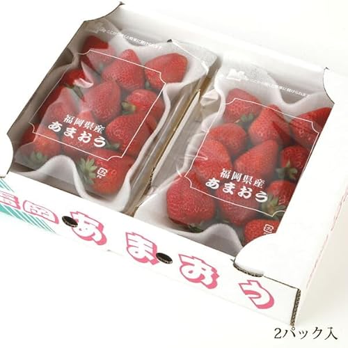 Yn _ Y ܂ p 2pbN540g