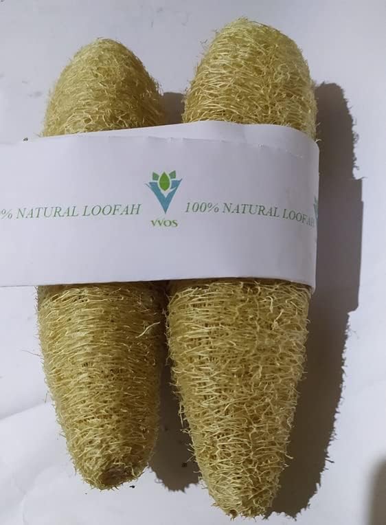 Natural Loofah Sponge Body Scrubber | Organic, Chemical-Free, Eco-Friendly Bathing | Ideal for Men and Women | Pack of 2 (15-20 cm)-image-20