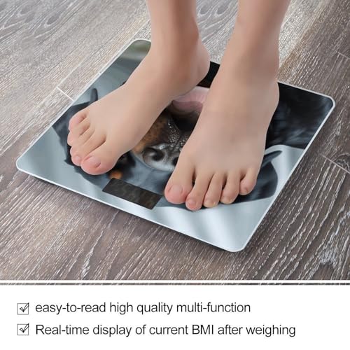 Báscula Digital de Baño con Diseño de Perro Rottweiler miniatura 5