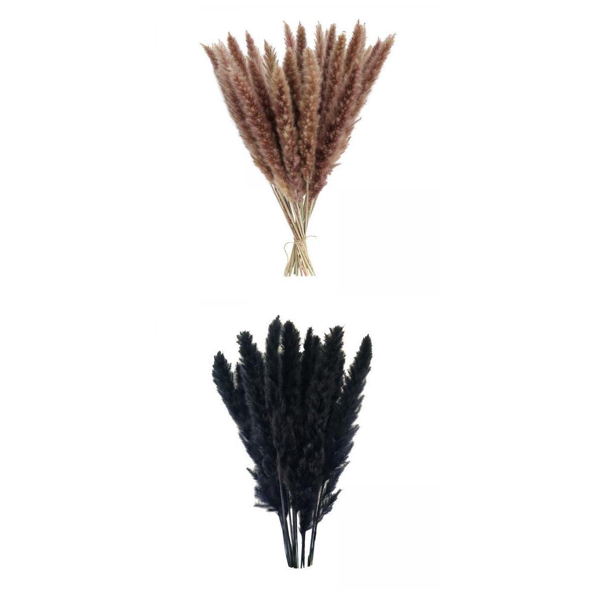 30X Dried Pampas Grass Phragmites Reed Flower Bunch Home Wedding Gifts-image-24