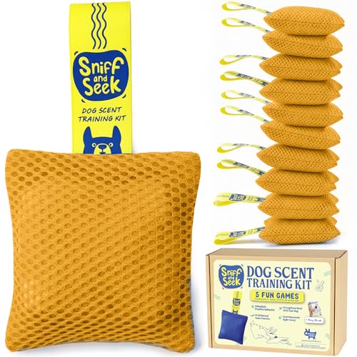 Race&Herd Original 10 Pcs Dog Scent Training Kit, Scent Work Training Kit for Dogs, 5 Brain Games - Nosework for Dog Sniffing Toys, Mental Stimulation Agility Equipment for Dogs (Yellow)