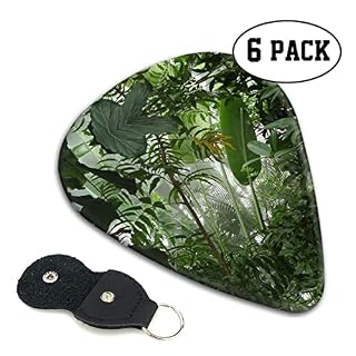Tropical Rainforest Lot de 6 médiators pour guitare acoustique, guitare électrique, basse, ukulélé – fins, moyens et… - Les Beatles, Paul McCartney, John Lennon, RIngo Starr, George Harrison Tropical Rainforest Lot de 6 médiators pour guitare acoustique, guitare électrique, basse, ukulélé – fins, moyens et… – Image 2