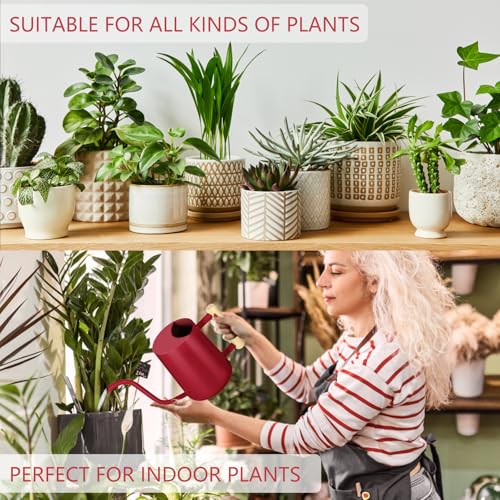 Image of Watering Can Indoor Plants, 35oz Small Stainless Steel Metal Watering Can Modern Decorative Watering Pot with Long Spout for Indoor House Plant Bonsai Garden Flowers (Red)