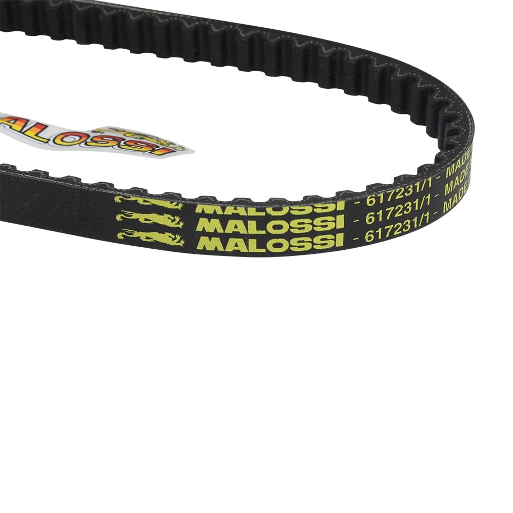 617231 keilriemen670 X 16,5 mm MALOSSI Kevlar Belt
