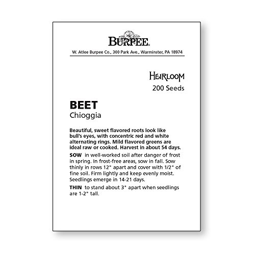 Burpee Chioggia Beet Seeds 200 seeds
