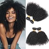 Afro Curly Bundles 100% Unprocessed Brazilian Virgin Human hair Bundles Hair Extensions Curly Weave Hair 2 Bundles 12 14 Inch Natural Color for Black Women