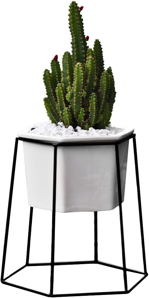 Flower Pots Indoor,Yousun 6.69 inch Modern Design White Ceramic Succulent Planter Pot with Metal Stand for Succulent Plants/Mini Cactus/Air Plant (White-Black)