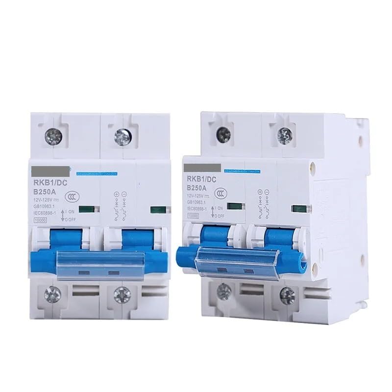 Sicherungsautomat 2P 63A 80A 100A 125A 150A 200A 250A DC-Leistungsschalter 12V 24V 48V 60V 72 96V Schutzschalter(250A)