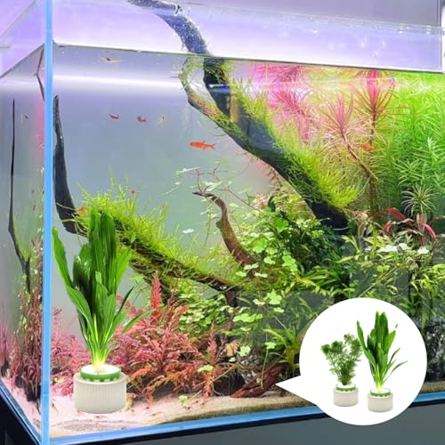 Image of 12 Pack Aquarium Plant Weights, Aquatic Plants Fixed Ring Set, Anti-Floating Ceramic Aquarium Plant Rings, Aquarium Landscape Decoration Fish Tank Accessories 1.8 x 1.3 Inch