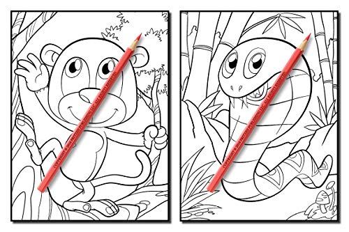 Cute Animals: An Adult Coloring Book with Fun, Easy, and Relaxing Coloring Pages for Animal Lovers (Cute Animal Coloring Books) 51Mm2n kd8L. SL500 - Cute Animals: An Adult Coloring Book with Fun, Easy, and Relaxing Coloring Pages for Animal Lovers (Cute Animal Coloring Books)