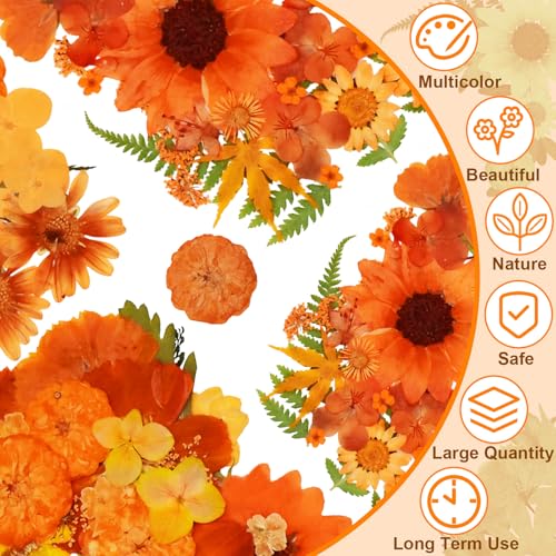 120 flores secas prensadas para artesanías y decoración miniatura 2