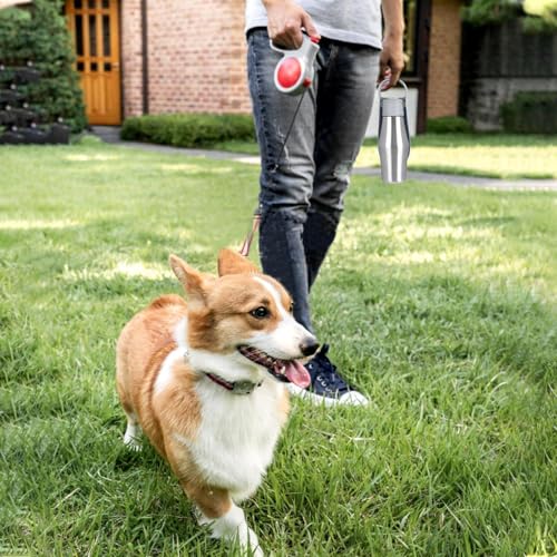 Bouteille d'eau avec bol pour promenade de chien sans fuite dans le sac - 3