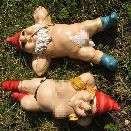 Necoxiuer Funny Naked Garden Gnomes 2-Pack Naughty Couple Elf Dwarfs Outdoor Lawn Ornaments Humorous Gag Gift for Men Women Unique Yard Decor