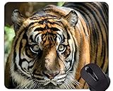 Mattes Finish - fühlt sich weich an