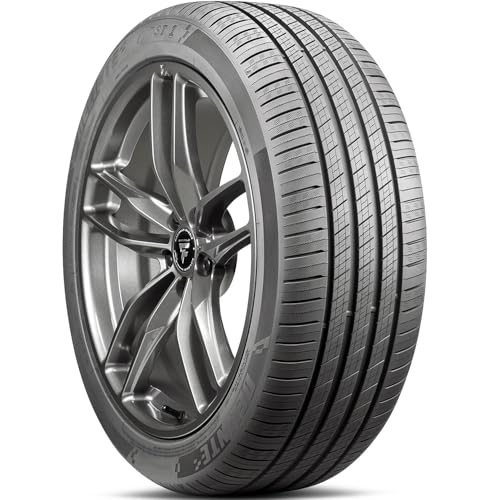 Delinte DST 1 Passenger Car All-Season Performance Radial Tire-205/70R16...