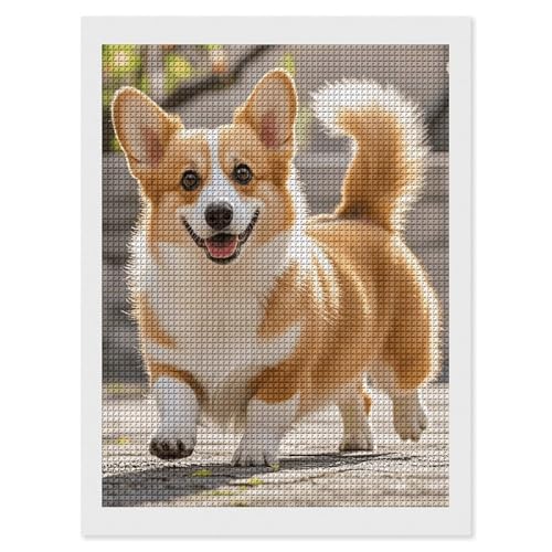 Broderie diamant Corgi 30x40 loisir créatif adulte kit complet strass carrés 5D