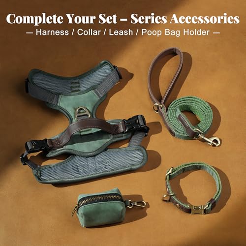 Image of Didog No Pull Dog Harness for Medium Dogs, Classic PU Leather, Green, M