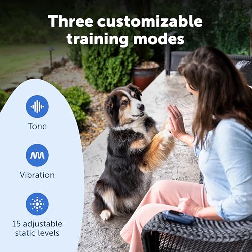 PetSafe Core Dog Trainer Remote Collar, 1000 Ft Range, 15 Static Levels | Tone/Vibration//15 Levels of Static, Waterproof Collar, 1000-Ft Range for Off-Leash Obedience Training - image 4