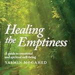 Cover of Healing the Emptiness
