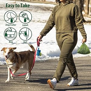 Dog-Poop-Bag-Holder-for-Leash-Doggie-Waste-Bag-Dispenser-Soft-Fabric-Puppy-Potty-Carrier-Small-Doggy-Zipper-Pouch-with-Carabiner-Clip-1680D-Nylon-Oxford-with-1-Roll-of-Pet-Trash-Bags-Sky-Blue - Cucciolini Doodles Dog-Poop-Bag-Holder-for-Leash-Doggie-Waste-Bag-Dispenser-Soft-Fabric-Puppy-Potty-Carrier-Small-Doggy-Zipper-Pouch-with-Carabiner-Clip-1680D-Nylon-Oxford-with-1-Roll-of-Pet-Trash-Bags-Sky-Blue