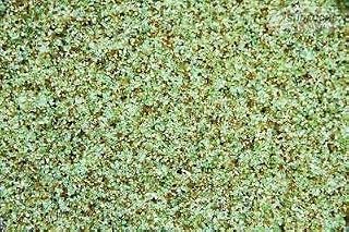 Astralpool Eco Filterglass 25 kg verre filtrant 0,5 à 1 mm