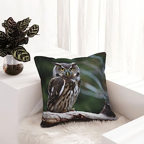 Housse de coussin rustique pour masquer l'usure de votre canape avec elegance - 7