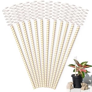 12 Pack Electroculture Plant Stakes, Long Copper Garden Stakes, Garden Copper Stakes, Electro Culture Copper Coil Gardening Antennas for Plants Fruits Vegetables Growth