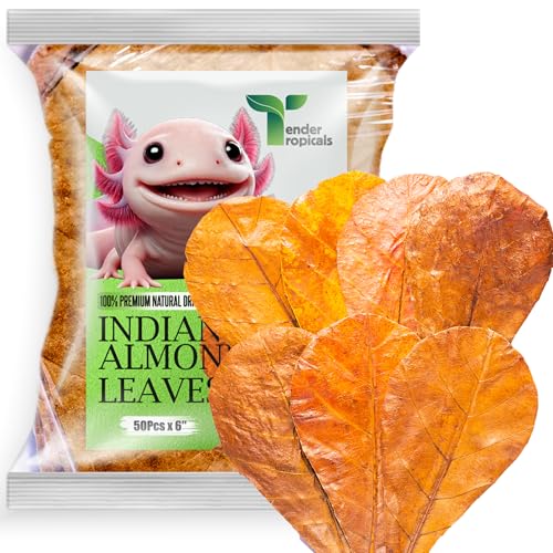 Tender Tropicals 50Pcs Axolotl Indian Almond Leaves for Aquarium 6' Catappa Leaf Litter Natural...