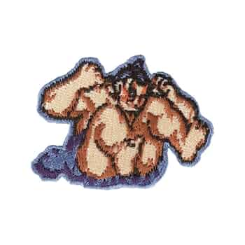 Amazon.co.jp: ストリートファイター 刺繍ステッカー Mサイズ