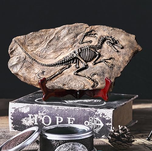 LAGOM HOUSE Dinosaur Fossil Resin Dinosaur Skeleton Model Skull Statue Bones Figurines T rex Tyrannosaurus Skull Replica Fossils | Dinosaur Decor for Bookshelf Desktop Shelf Display 13x 7in