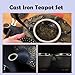 Cast Iron Teapot Set with Gift Pakckage, Koi Fish Tea Pot, Japanese Style Tetsubin Tea Gift Set, 4 Cups, Trivet and Lid Holder (koi fish)