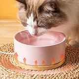 Liemuao Beheizter Katzennapf, 350 ml/600ml Haustier-Wassernapf-Heizung, beheizter Keramik-Wassernapf,USB-Lade-Wasserspender für Katzen, Hunde im Freien und drinnen (Weiß, 350ML)