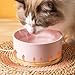 Liemuao Beheizter Katzennapf, 350 ml/600ml Haustier-Wassernapf-Heizung, beheizter Keramik-Wassernapf,USB-Lade-Wasserspender für Katzen, Hunde im Freien und drinnen (Weiß, 350ML)