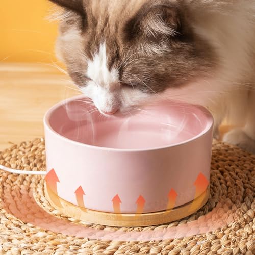 Liemuao Beheizter Katzennapf, 350 ml/600ml Haustier-Wassernapf-Heizung, beheizter Keramik-Wassernapf,USB-Lade-Wasserspender für Katzen, Hunde im Freien und drinnen (Weiß, 350ML)