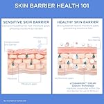 AESTURA ATOBARRIER365 Cream with Ceramides, Korean Moisturizer for Skin Barrier Repair | Long-lasting Hydration, Ceramide Capsules, Dry & Sensitive Skin, Non-comedogenic, 80 mL / 2.70 fl.oz. - Image 5