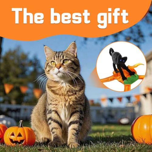 Halloween Haustiere Cosplay Kostüme, Lustige Hundekleidung mit stehender schwarzer Katze, Haustier-Outfit Halloween, lustige Hundekatze Kostüm mit schwarzer Katze, für die Hunde und Katzen (XL)