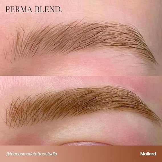 Perma Blend Cool Eyebrow Mini Set - Vegan PMU Tattoo Ink for Brows & Eyeliner - Microbalding Supplies for Permanent Makeup - Cool-Toned Pigment Kit for Cosmetic Tattoo Artists