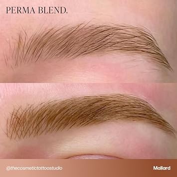 Perma Blend Cool Eyebrow Mini Set - Vegan PMU Tattoo Ink for Brows & Eyeliner - Microbalding Supplies for Permanent Makeup - Cool-Toned Pigment Kit for Cosmetic Tattoo Artists