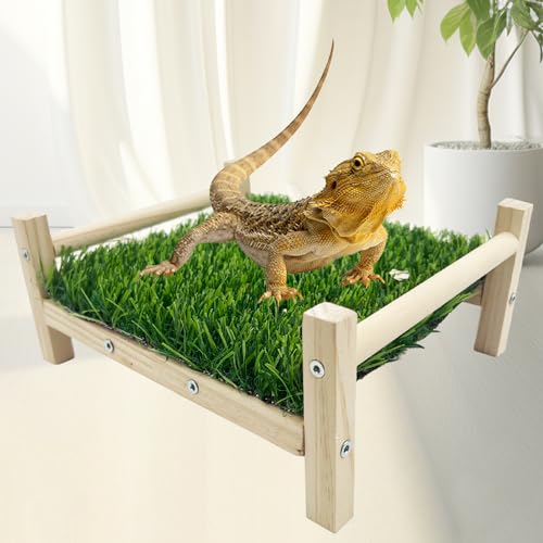 FlidRunest Cama de rede de lagarto, cama de forrageamento de dragão barbudo de simulação lavável, gr