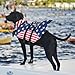 Queenmore Cat Life Jacket, XXS Extra Small Dog Life Vest for Swimming, American Flag Puppy Swimming Vest for Boating, Lightweight Small Dog Shark Swim Jacket with Rescue Handle/Leash Hook