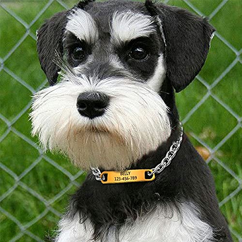 Amazon.co.jp: Z23Z 犬首輪 チタン鋼 迷子札 子犬 小型犬 中型犬 猫用