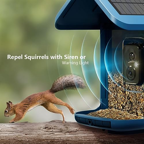 Bird Feeder with Camera Solar Powered : Smart Camera Bird Feeder 2K Live Feed Cam for Outdoor Backyard - AI Identify Auto Capture Videos Pictures, Gifts for Birdlover Mom Dad, 2.4GHz WiFi