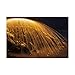 Trademark Fine Art Rain of Fire by Chris Moyer, 30x47-Inch Fine Art, Multicolor