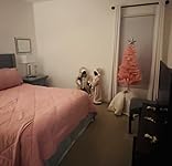 Review Image by Muriel Holy